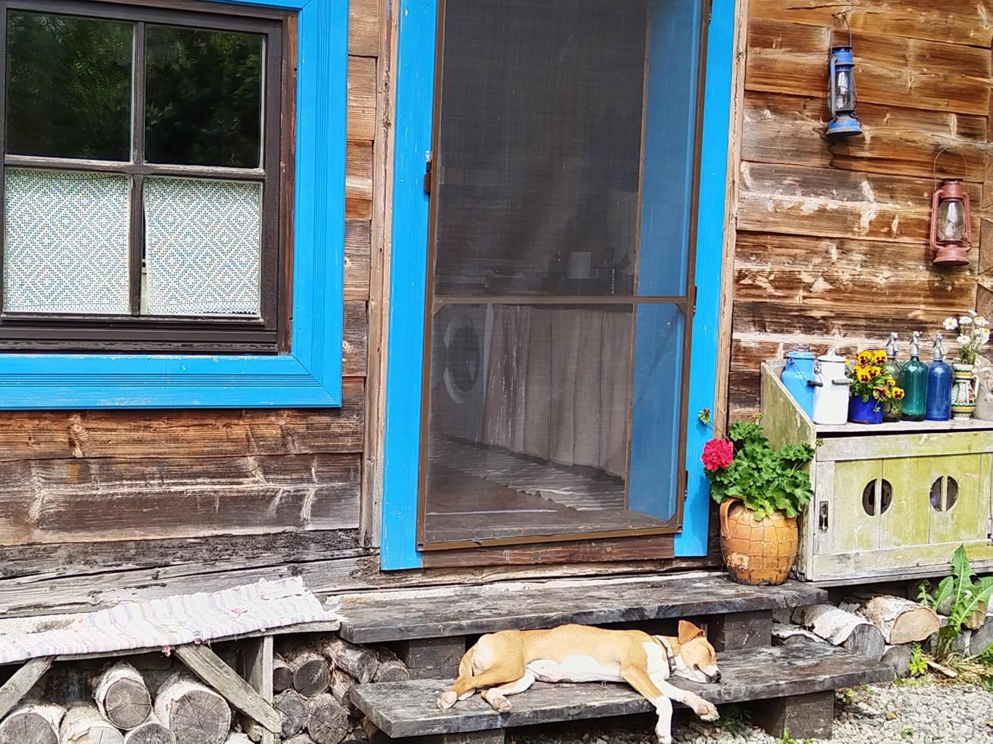 Big Family Apartment In Breb'S Cosy Barn Exterior photo